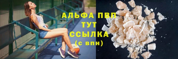 амф Надым