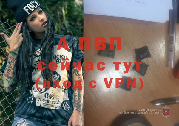 амф Надым