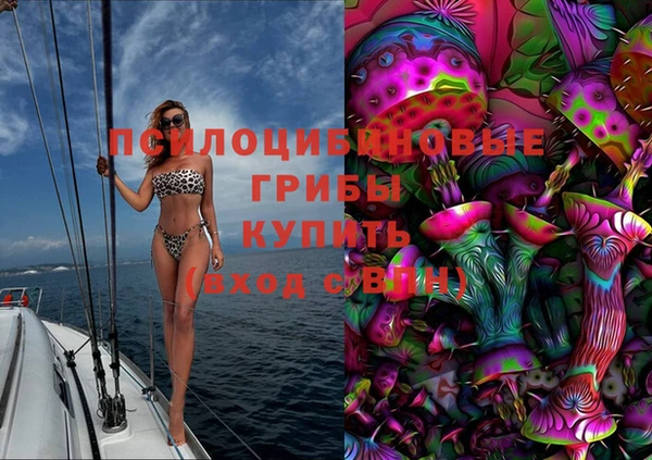 амф Надым